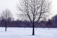 Schnee in Köln Vogelsang 2019 • Foto: NINA SIMONE PLUM