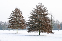 Schnee in Köln Vogelsang 2019 • Foto: NINA SIMONE PLUM