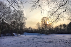 Schnee in Köln Vogelsang 2019 • Foto: NINA SIMONE PLUM