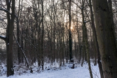 Schnee in Köln Vogelsang 2019 • Foto: NINA SIMONE PLUM