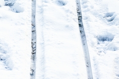 Schnee in Köln Vogelsang 2019 • Foto: NINA SIMONE PLUM