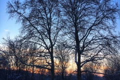 Schnee in Köln Vogelsang 2019 • Foto: NINA SIMONE PLUM