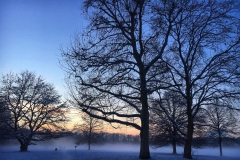 Schnee in Köln Vogelsang 2019 • Foto: NINA SIMONE PLUM