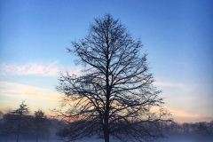 Schnee in Köln Vogelsang 2019 • Foto: NINA SIMONE PLUM