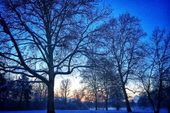 Schnee in Köln Vogelsang 2019 • Foto: NINA SIMONE PLUM