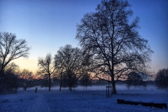 Schnee in Köln Vogelsang 2019 • Foto: NINA SIMONE PLUM