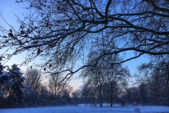 Schnee in Köln Vogelsang 2019 • Foto: NINA SIMONE PLUM