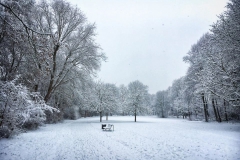 Schnee in Köln Vogelsang 2019 • Foto: NINA SIMONE PLUM