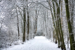 Schnee in Köln Vogelsang 2019 • Foto: NINA SIMONE PLUM