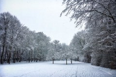 Schnee in Köln Vogelsang 2019 • Foto: NINA SIMONE PLUM