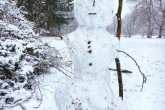 Schnee in Köln Vogelsang 2019 • Foto: NINA SIMONE PLUM