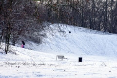 Schnee in Köln Vogelsang 2019 • Foto: NINA SIMONE PLUM