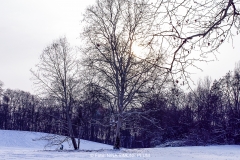Schnee in Köln Vogelsang 2019 • Foto: NINA SIMONE PLUM